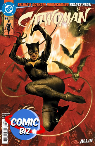 Catwoman 1st - catwoman,
