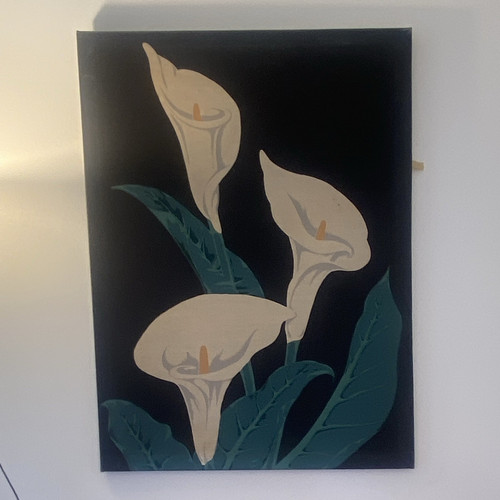 White calla lilies - white,