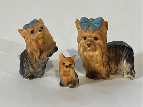 Vintage yorkshire terrier - vintage,