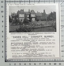 Danes Hill - Oxshott - Surrey For Sale - 1916 Cutting 559