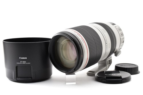 Canon 100 400mm - ef, 100-400mm