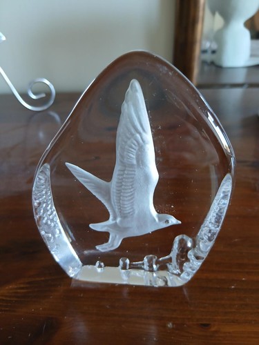 Beautiful wedgewood cut - wedgewood,