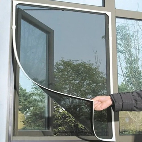 Window fly screen insect - window,