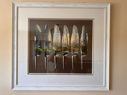 Iain davie swan - swan, feather