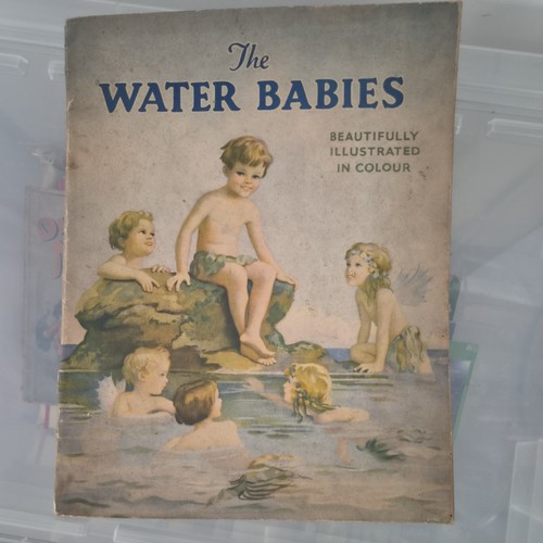 The water babies - the,