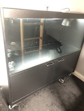 Vivarium With Light Setup