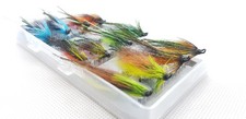 x12 Arctic fox Salmon Doubles