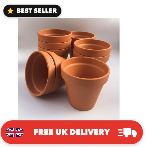 F13 small terracotta - small, plant