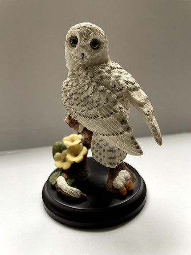 Snowy owl with primrose - snowy,
