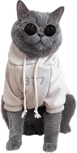 Cat clothes coat cats - cat, coat,