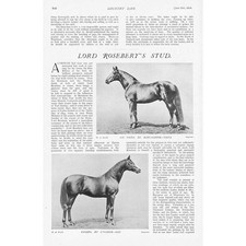 Horses at Lord Rosebery's Stud