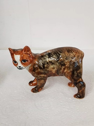 Vintage calico manx cat studio - calico,