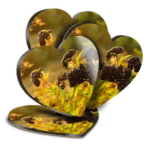 Heart mdf coaster black - coaster,
