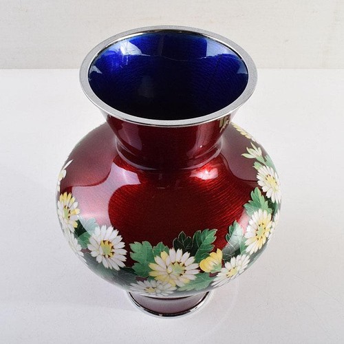 Chrysanthemum ando cloisonne - chrysanthemum,