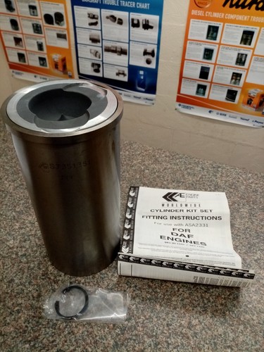 Daf piston and - daf, kit