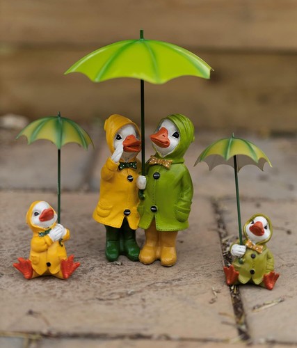 Novelty duck garden ornament - novelty,