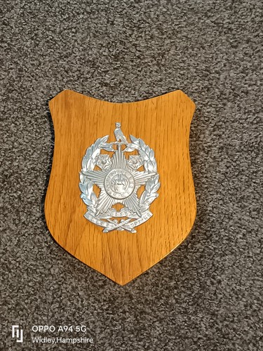 Leeds city police helmet - leeds, badge