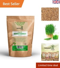 Organic Wheatgrass Seeds 250g – Superfood for Juicing, Sprouting, Pet & Garde...