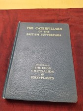 The caterpillars - the,