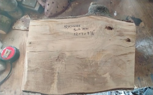 Sycamore bowl blank wood - sycamore,