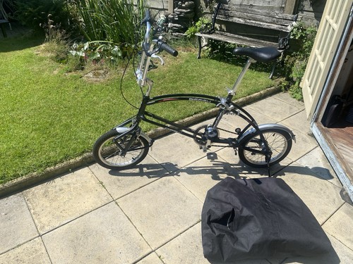 Big fish folding bike - big, 20in