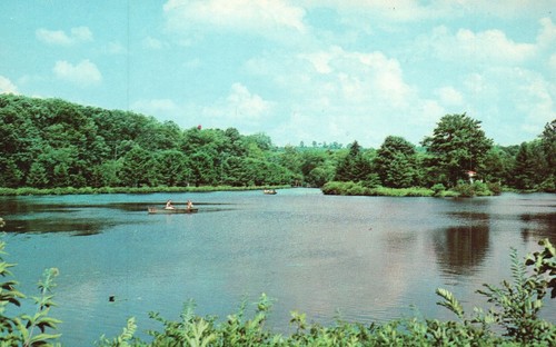 Postcard boating lake - postcard,