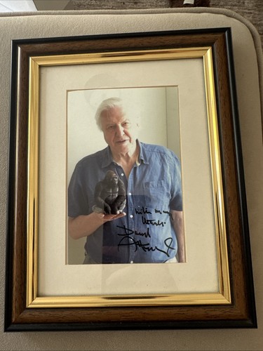 Sir david attenborough - sir,