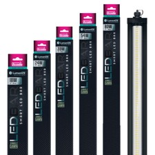 Arcadia LumenIZE Jungle Dawn