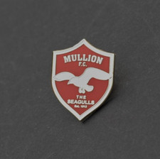 MULLION FOOTBALL CLUB - CORNWALL - BUTTERFLY PIN BADGE