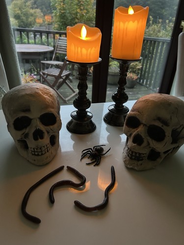 Halloween party props - props, brand