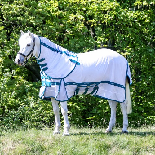 Royal scot original fly rug - royal,