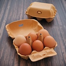 Henpac Brown  6-Egg Box, fits