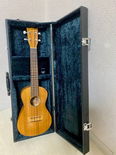 Famous concert ukulele - famous,