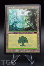 Forest - Magic the Gathering - Guru Lands Regular