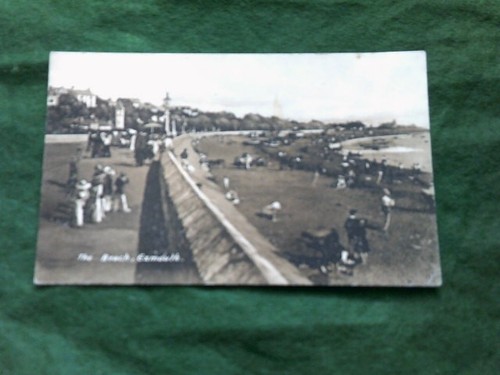 Exmouth devon beach panorama - beach,