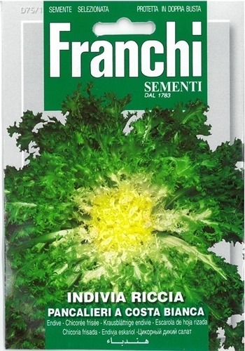 Franchi seeds endive indivia - franchi,