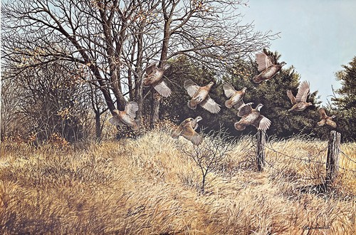 Auction for prints brocken - auction, prints-brocken