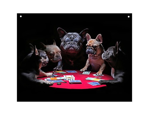 Dog playing poker metal - playing,