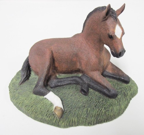 Quarter horse foal resting - horse, "resting