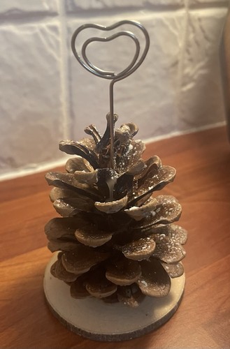 Pine cone name card - cone,