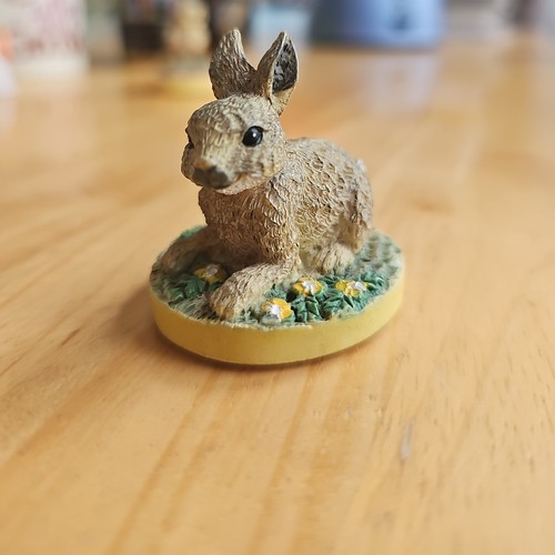 Tetley tea wildlife animal - wildlife,