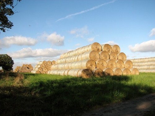 Photo 6x4 stacks round - photo,