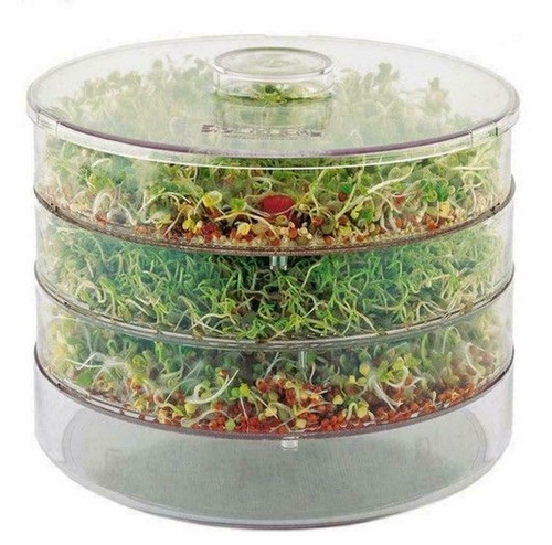 Sprouter healthy seeds - healthy,
