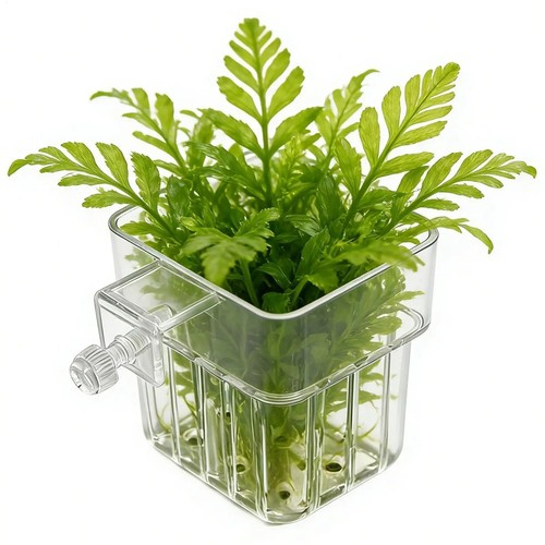 Transparent aquarium - 1,
