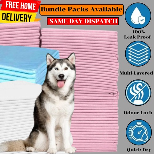 200x large dog pads - 200x,
