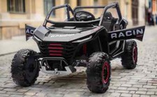 Powerful 24v Two Seater Ride on Buggy Desert UTV with Remote - Various colours