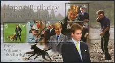 Falkland Is. 2000 SG#MS880 Prince William 18th Birthday MNH M/S #D86227