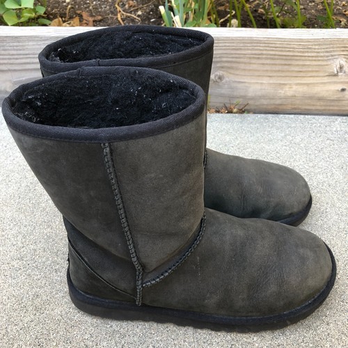 Ugg australia classic short - australia,
