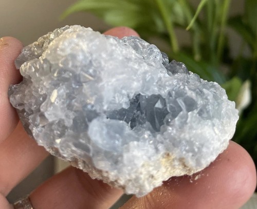 Celestite open cluster geode - open,