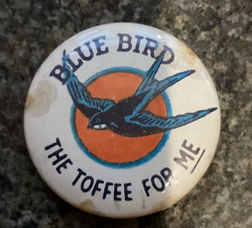 Blue bird the - for, me